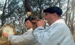 Beste musika motak eta kantua