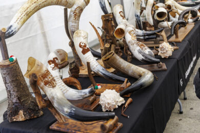 2025_10_25_1_Luthierrak_MB_AZL-11